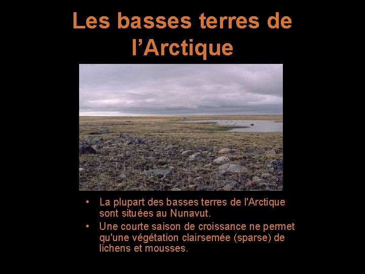 Les basses terres de l’Arctique • La plupart des basses terres de l'Arctique sont