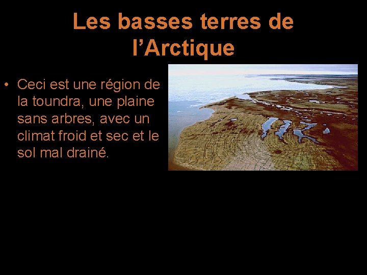 Les basses terres de l’Arctique • Ceci est une région de la toundra, une