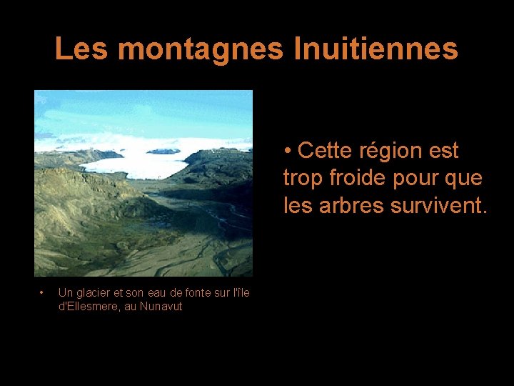 Les montagnes Inuitiennes • Cette région est trop froide pour que les arbres survivent.