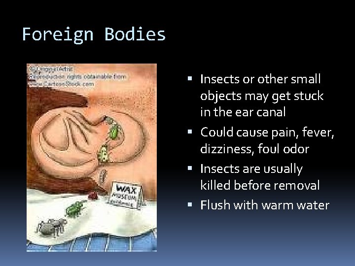 Foreign Bodies Insects or other small objects may get stuck in the ear canal