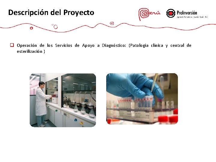 Descripción del Proyecto q Operación de los Servicios de Apoyo a Diagnóstico: (Patología clínica