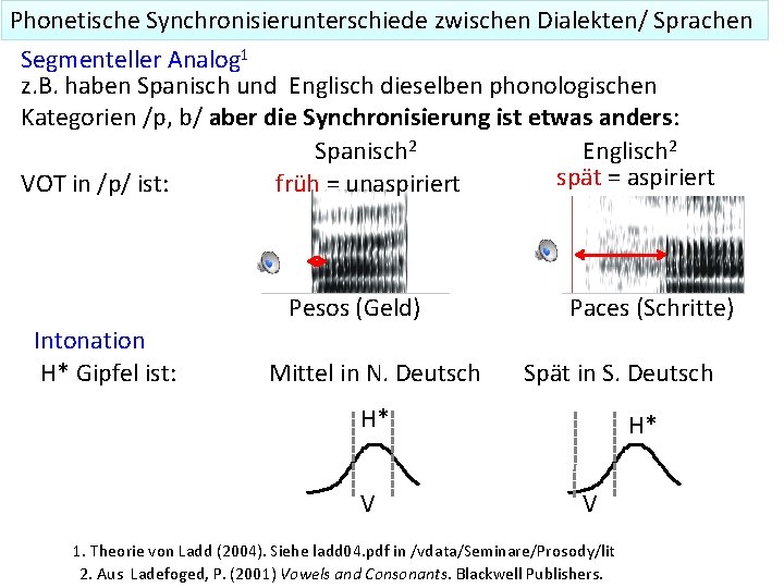 Phonetische Synchronisierunterschiede zwischen Dialekten/ Sprachen Segmenteller Analog 1 z. B. haben Spanisch und Englisch