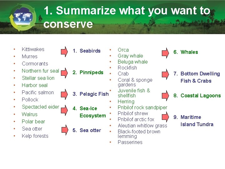 1. Summarize what you want to conserve • • • • Kittiwakes Murres Cormorants