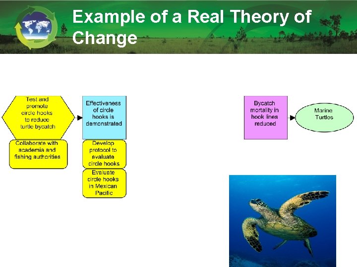 Example of a Real Theory of Change 