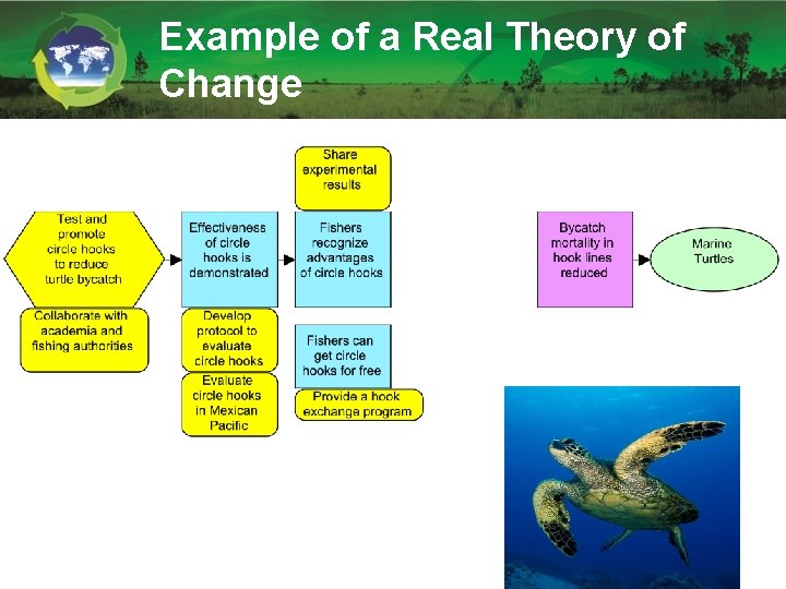 Example of a Real Theory of Change 