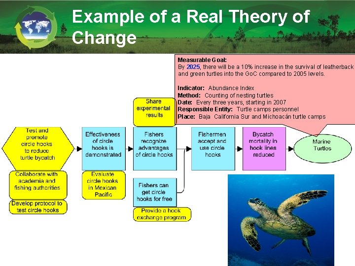 Example of a Real Theory of Change Measurable Goal: By 2025, there will be