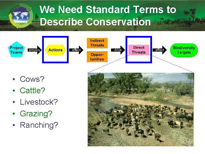 We Need Standard Terms to Describe Conservation • • • Cows? Cattle? Livestock? Grazing?