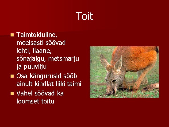 Toit Taimtoiduline, meelsasti söövad lehti, liaane, sõnajalgu, metsmarju ja puuvilju n Osa kängurusid sööb