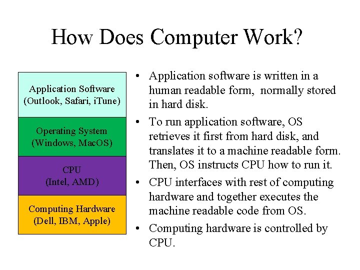 How Does Computer Work? Application Software (Outlook, Safari, i. Tune) Operating System (Windows, Mac.