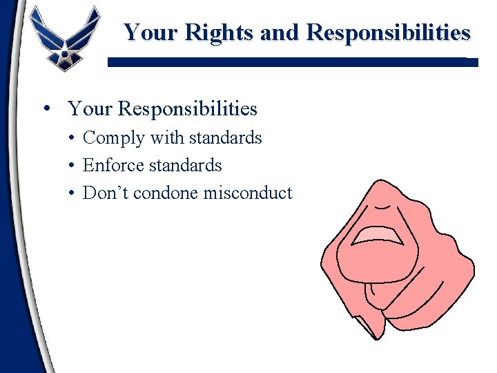 Your Rights and Responsibilities • Your Responsibilities • Comply with standards • Enforce standards