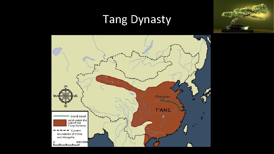 Tang Dynasty 