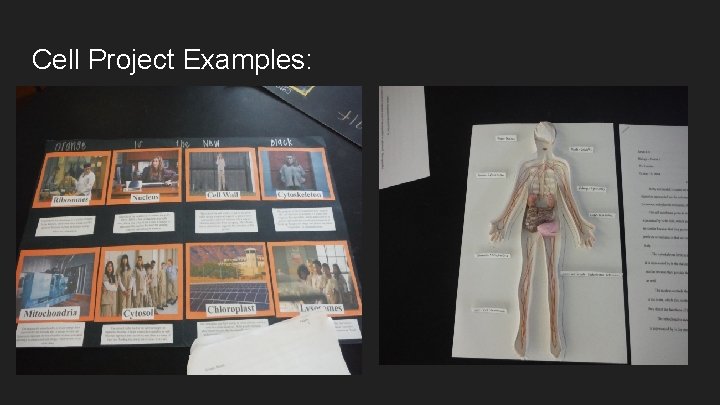 Cell Project Examples: 