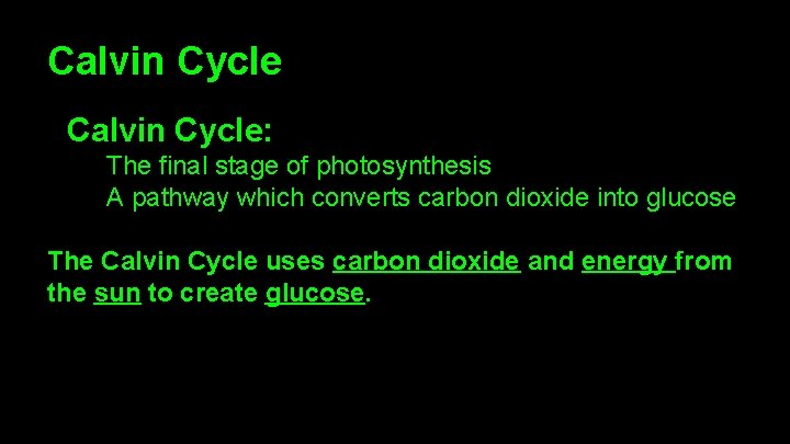 Calvin Cycle: The final stage of photosynthesis A pathway which converts carbon dioxide into