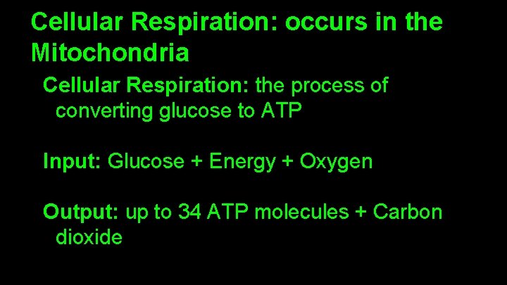 Cellular Respiration: occurs in the Mitochondria Cellular Respiration: the process of converting glucose to