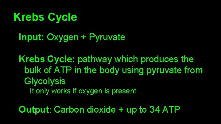 Krebs Cycle Input: Oxygen + Pyruvate Krebs Cycle: pathway which produces the bulk of