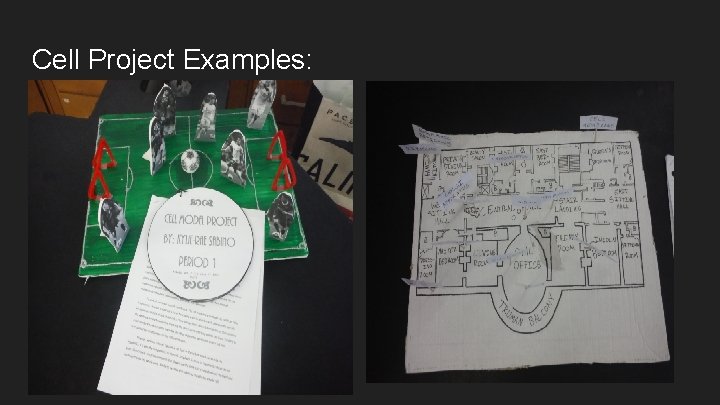 Cell Project Examples: 