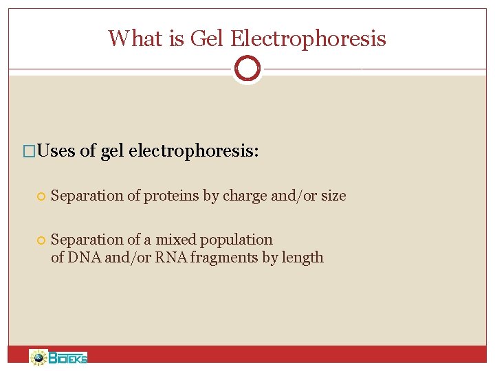 What is Gel Electrophoresis �Uses of gel electrophoresis: Separation of proteins by charge and/or