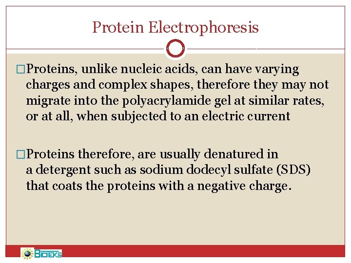 Protein Electrophoresis �Proteins, unlike nucleic acids, can have varying charges and complex shapes, therefore