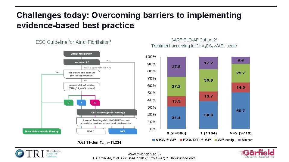 Challenges today: Overcoming barriers to implementing evidence-based best practice ESC Guideline for Atrial Fibrillation