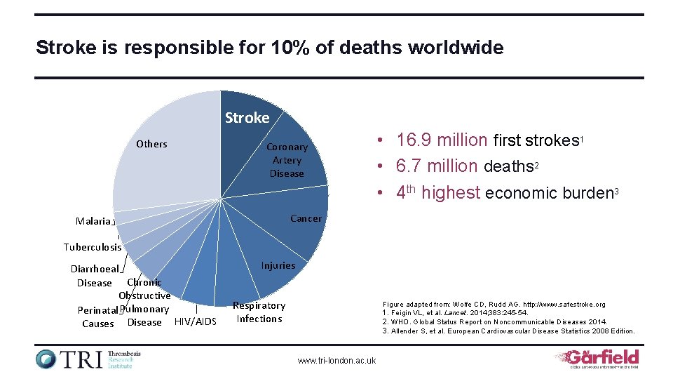 Stroke is responsible for 10% of deaths worldwide Stroke Others Coronary Artery Disease •