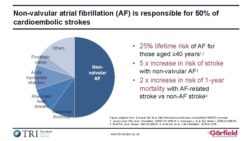 Non-valvular atrial fibrillation (AF) is responsible for 50% of cardioembolic strokes • 25% lifetime