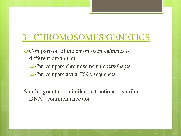3. CHROMOSOMES/GENETICS Comparison of the chromosomes/genes of different organisms Can compare chromosome numbers/shapes Can
