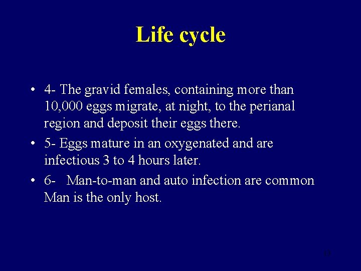 Life cycle • 4 - The gravid females, containing more than 10, 000 eggs