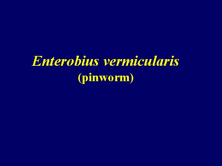 Enterobius vermicularis (pinworm) 2 