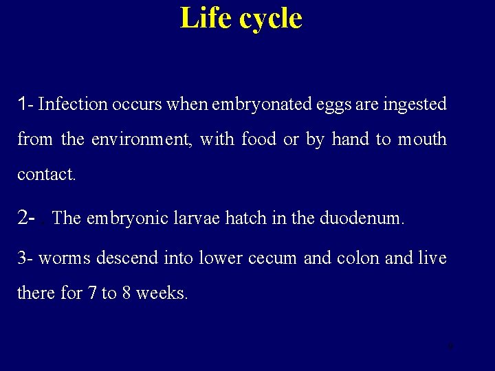 Life cycle 1 - Infection occurs when embryonated eggs are ingested from the environment,