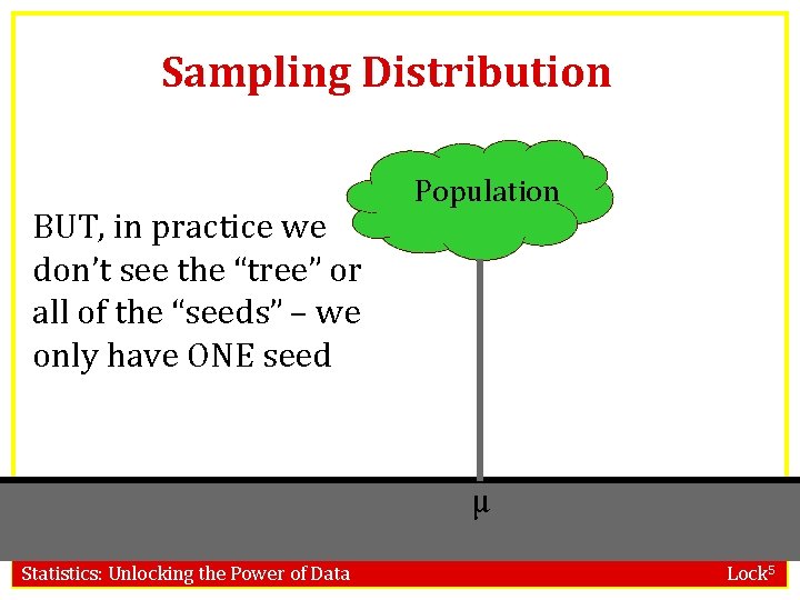 Sampling Distribution BUT, in practice we don’t see the “tree” or all of the