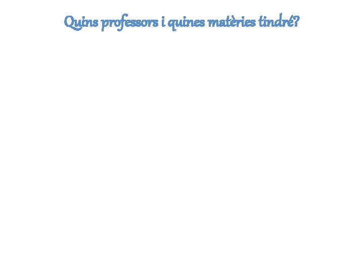 Quins professors i quines matèries tindré? 