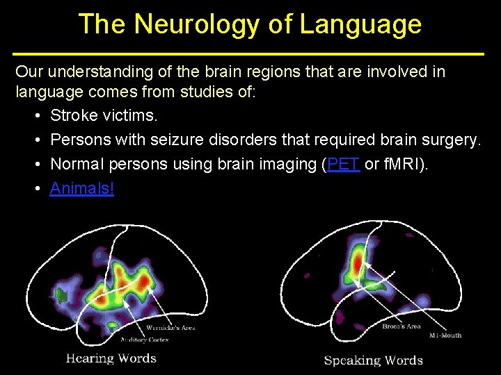 The Neurology of Language Our understanding of the brain regions that are involved in