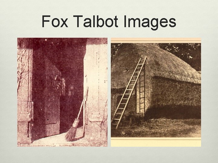 Fox Talbot Images 