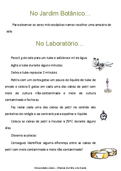 No Jardim Botânico… Para observar os seres microscópicos vamos recolher uma amostra de solo.