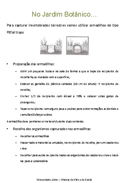 No Jardim Botânico… Para capturar invertebrados terrestres vamos utilizar armadilhas do tipo Pitfall traps.