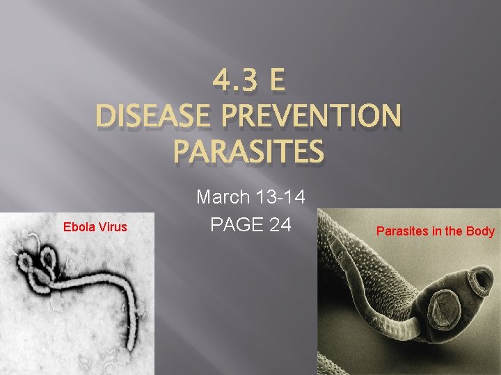 4. 3 E DISEASE PREVENTION PARASITES Ebola Virus March 13 -14 PAGE 24 Parasites
