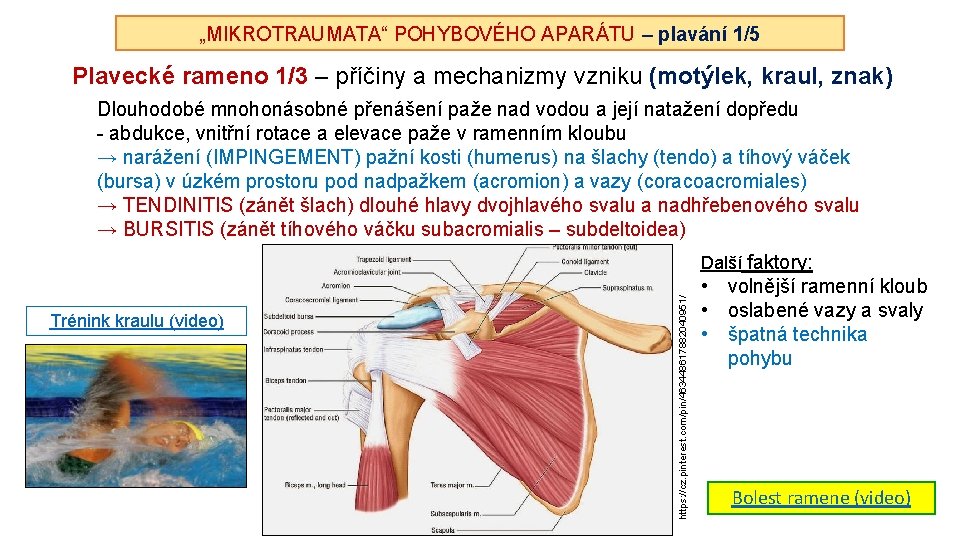 „MIKROTRAUMATA“ POHYBOVÉHO APARÁTU – plavání 1/5 Plavecké rameno 1/3 – příčiny a mechanizmy vzniku