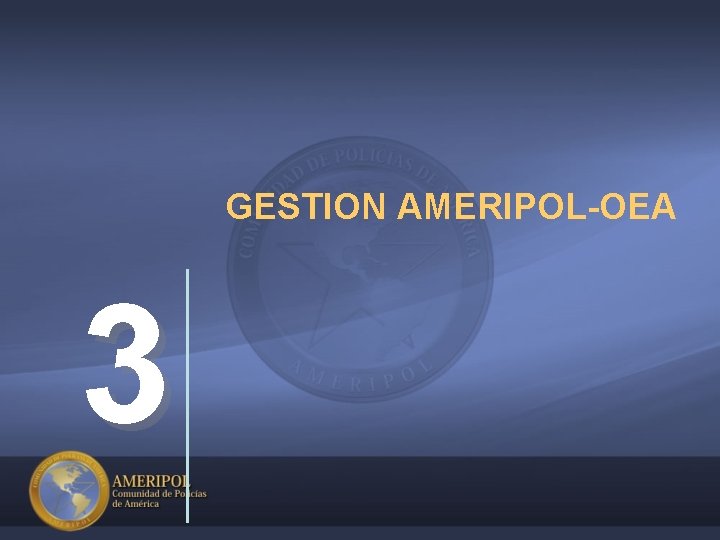 GESTION AMERIPOL-OEA 3 