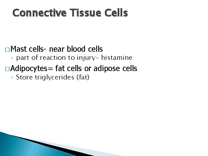 Connective Tissue Cells � Mast cells- near blood cells ◦ part of reaction to