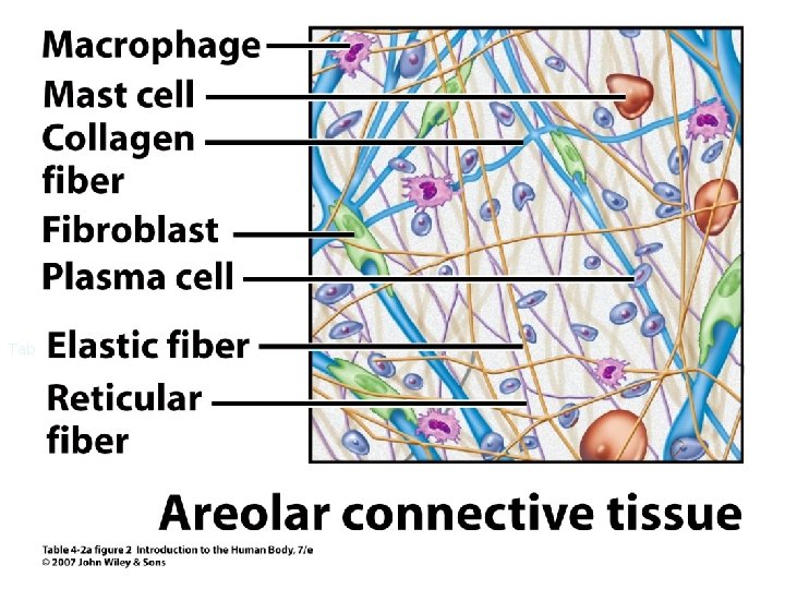 Table 4. 2 a figure 2 