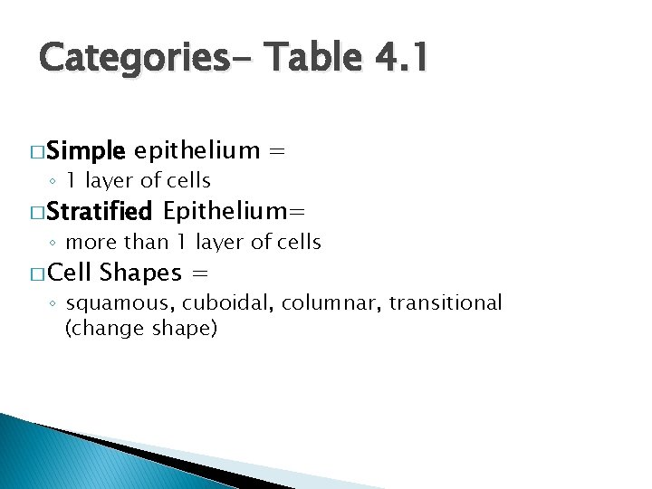 Categories- Table 4. 1 � Simple epithelium = ◦ 1 layer of cells �