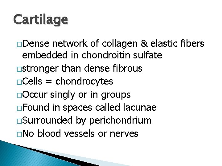 Cartilage �Dense network of collagen & elastic fibers embedded in chondroitin sulfate �stronger than