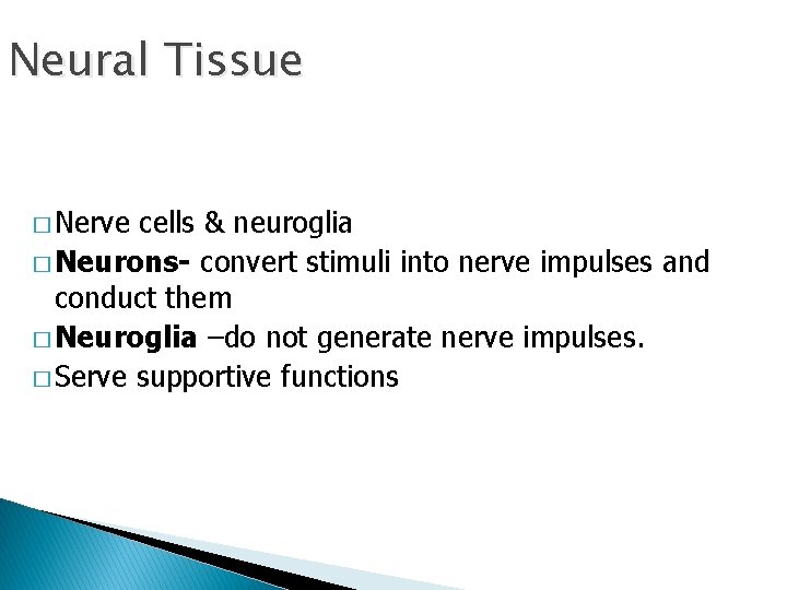 Neural Tissue � Nerve cells & neuroglia � Neurons- convert stimuli into nerve impulses