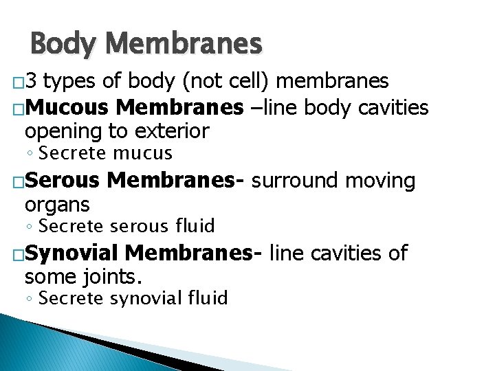 Body Membranes � 3 types of body (not cell) membranes �Mucous Membranes –line body