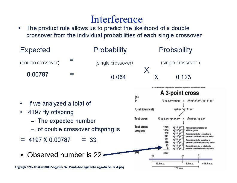 Interference • The product rule allows us to predict the likelihood of a double