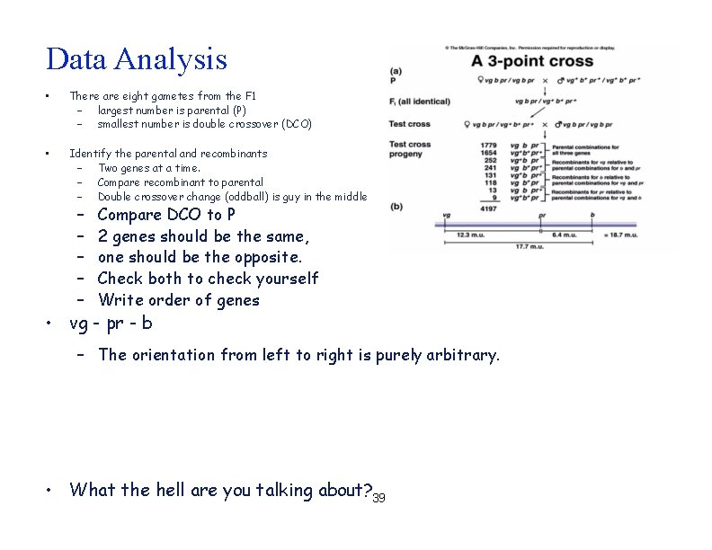 Data Analysis • There are eight gametes from the F 1 – largest number