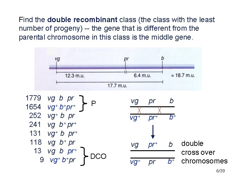 Find the double recombinant class (the class with the least number of progeny) --