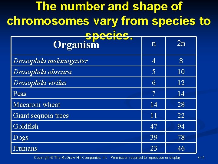 The number and shape of chromosomes vary from species to species. n 2 n