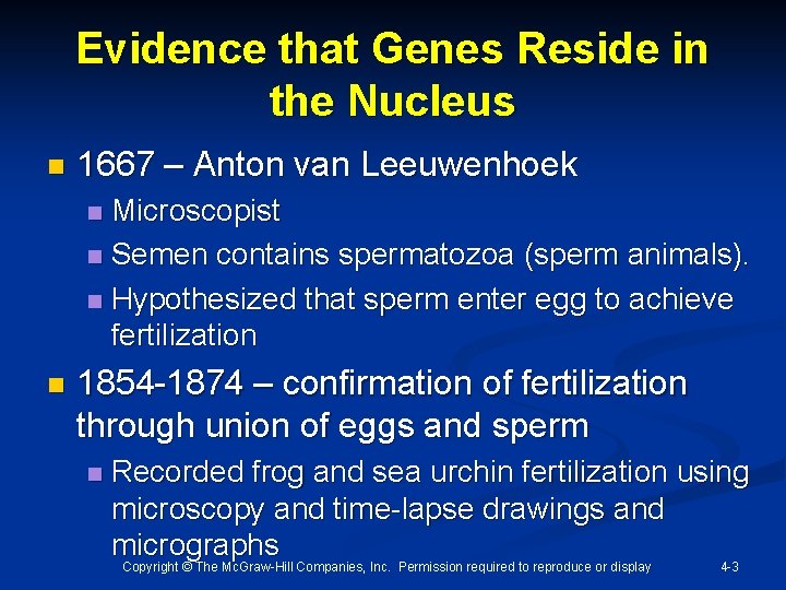 Evidence that Genes Reside in the Nucleus n 1667 – Anton van Leeuwenhoek Microscopist