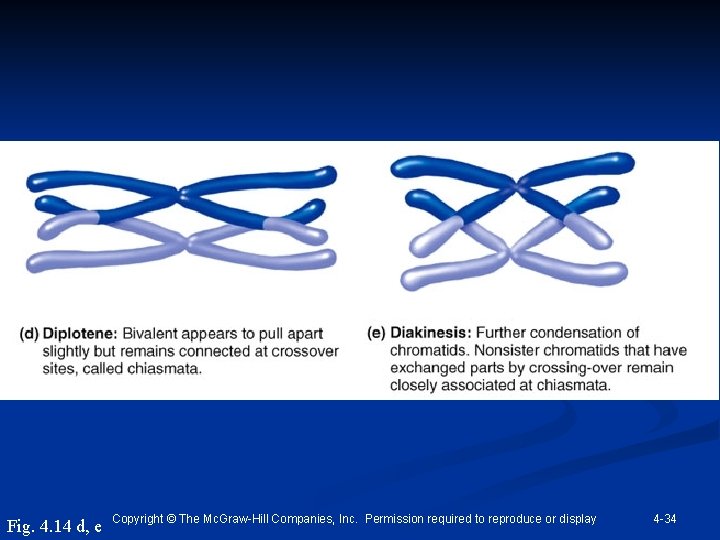 Fig. 4. 14 d, e Copyright © The Mc. Graw-Hill Companies, Inc. Permission required